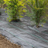 Toile de paillage 90 g WEEDTEX 1,05 x 20 m Noir Nortene