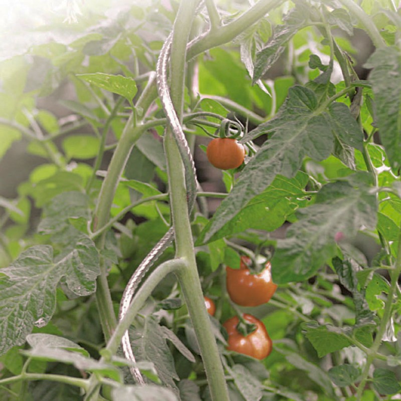 Tuteur tomate spirale TOMATO SPIRAL Nortene - Boutique en ligne Nortene
