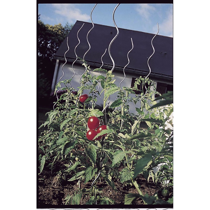Tuteur tomate spirale TOMATO SPIRAL Nortene - Boutique en ligne Nortene