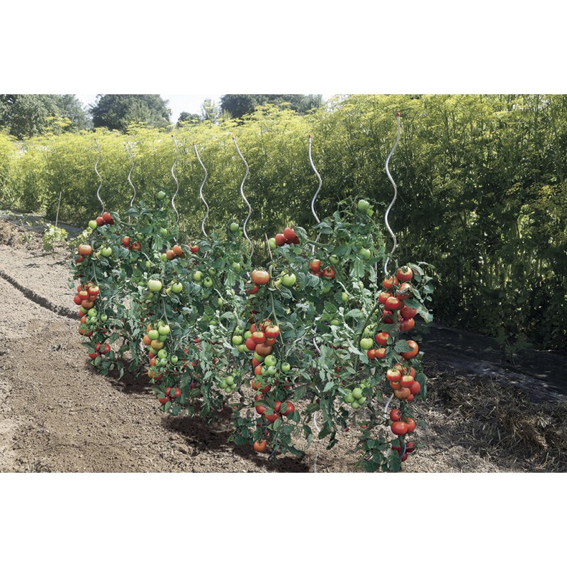 Tuteur tomate spirale TOMATO SPIRAL Nortene - Boutique en ligne Nortene